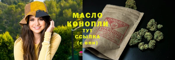 ГАЛЛЮЦИНОГЕННЫЕ ГРИБЫ Гусев
