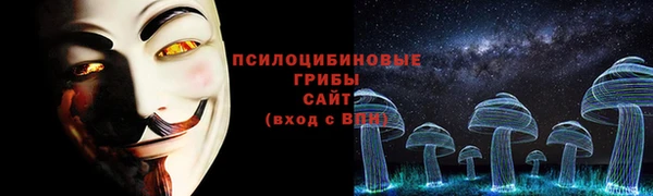 гидра Семилуки