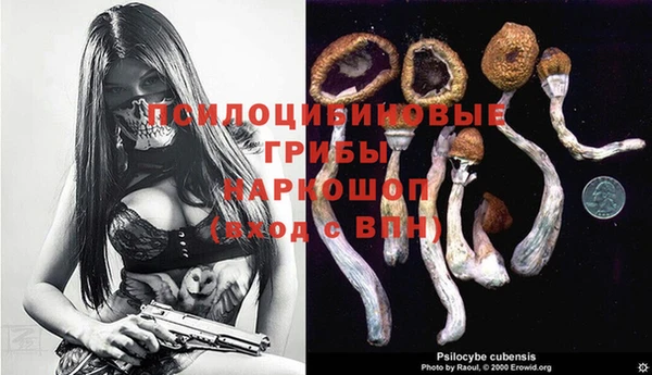 прущая мука Гусь-Хрустальный