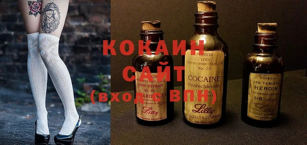 ГАЛЛЮЦИНОГЕННЫЕ ГРИБЫ Гусев
