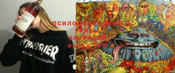стафф Горнозаводск