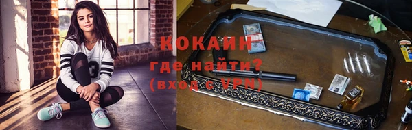 ГАЛЛЮЦИНОГЕННЫЕ ГРИБЫ Гусев