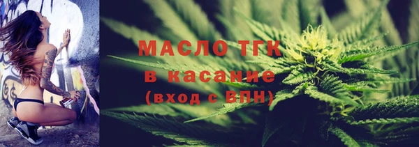 ГАЛЛЮЦИНОГЕННЫЕ ГРИБЫ Гусев